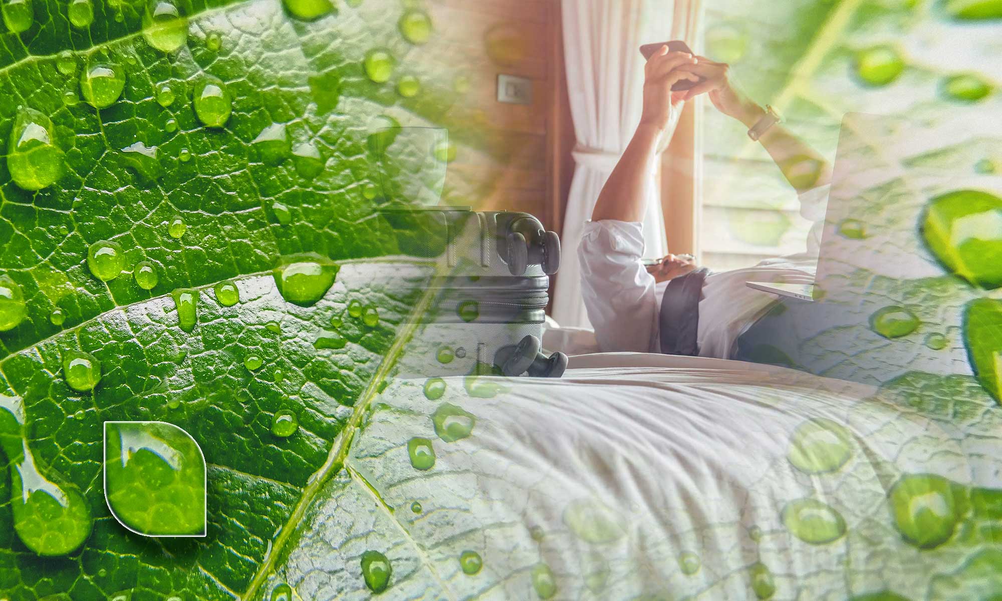 Blatt mit Tautropfen, überblendet mit einer schlafenden Person im Bett